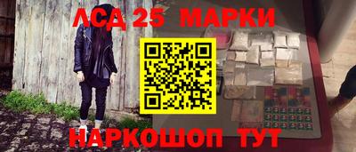 СК Краснодар