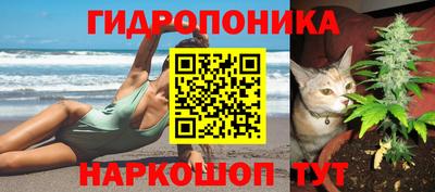 СК Краснодар