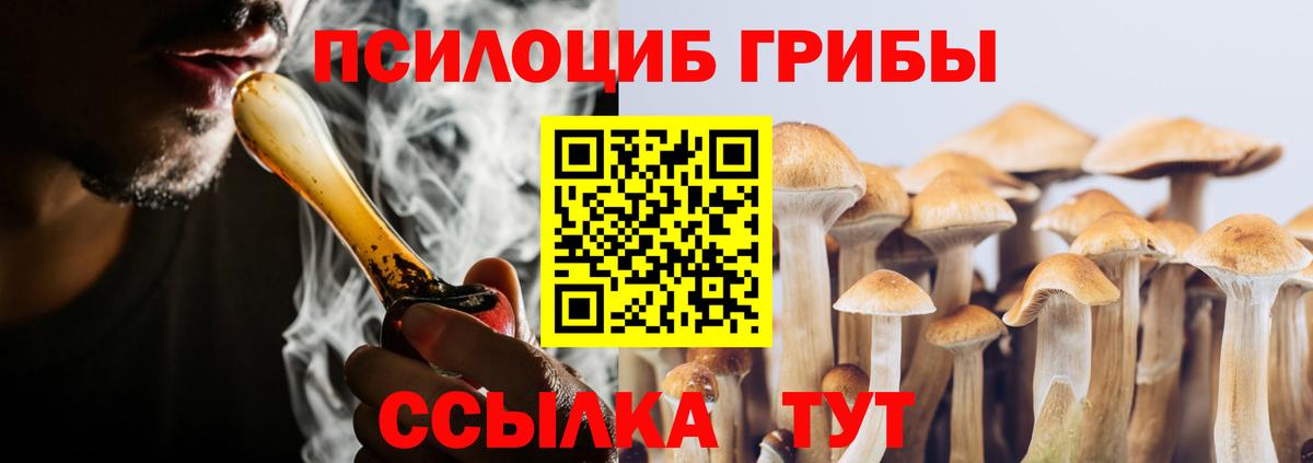 где купить наркотик  Вход с VPN  Новосибирск  Псилоцибиновые грибы MAGIC MUSHROOMS 